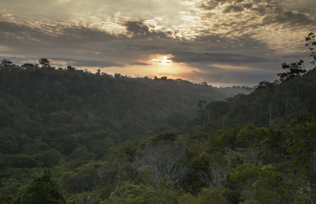 Serra da Cutia National Park