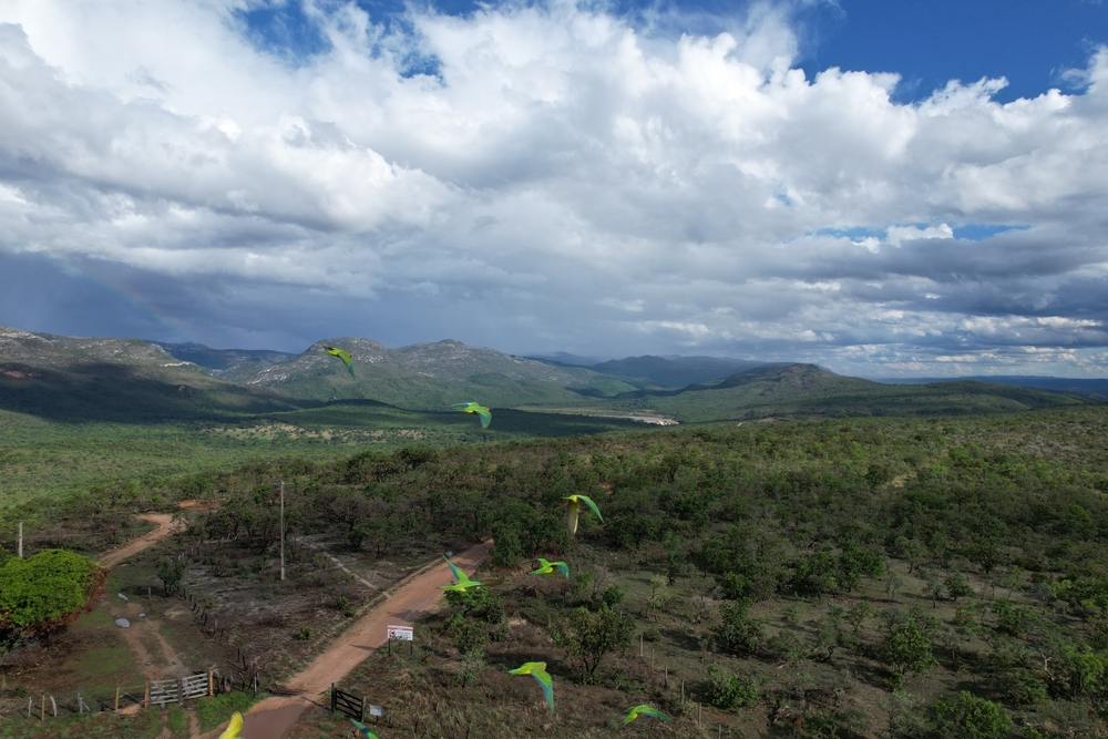 Sempre Vivas National Park