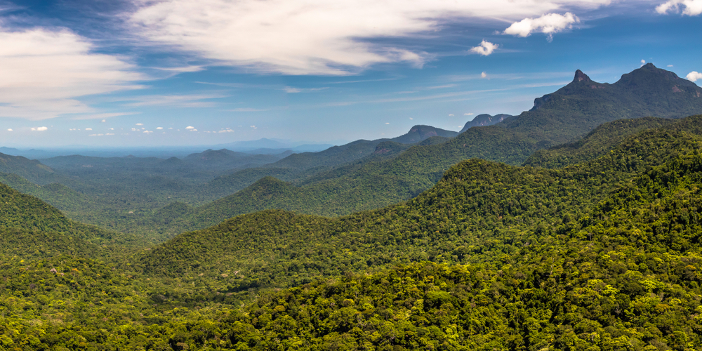 Serra da Mocidade National Park