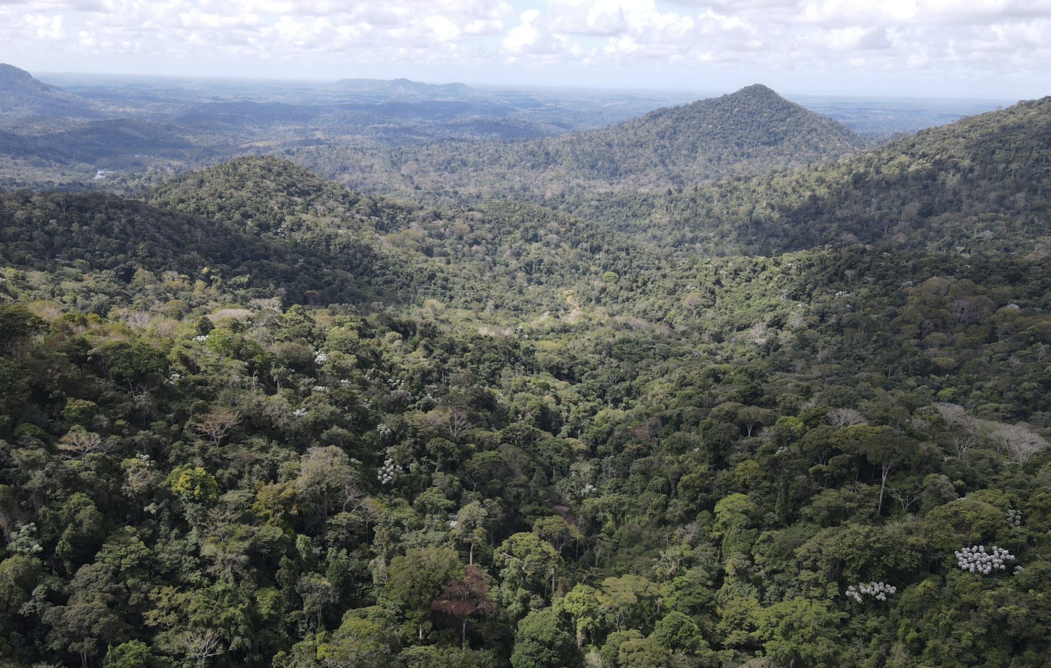 Serra das Lontras National Park
